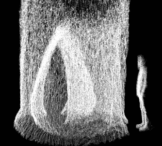 MIDIS ARCHI - DAVID BENJAMIN 